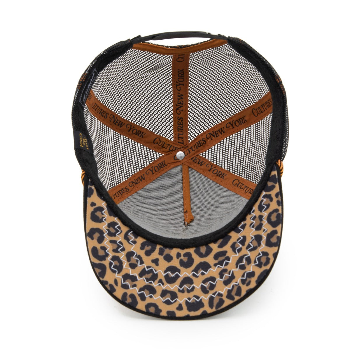 Stray Cat Trucker Hat