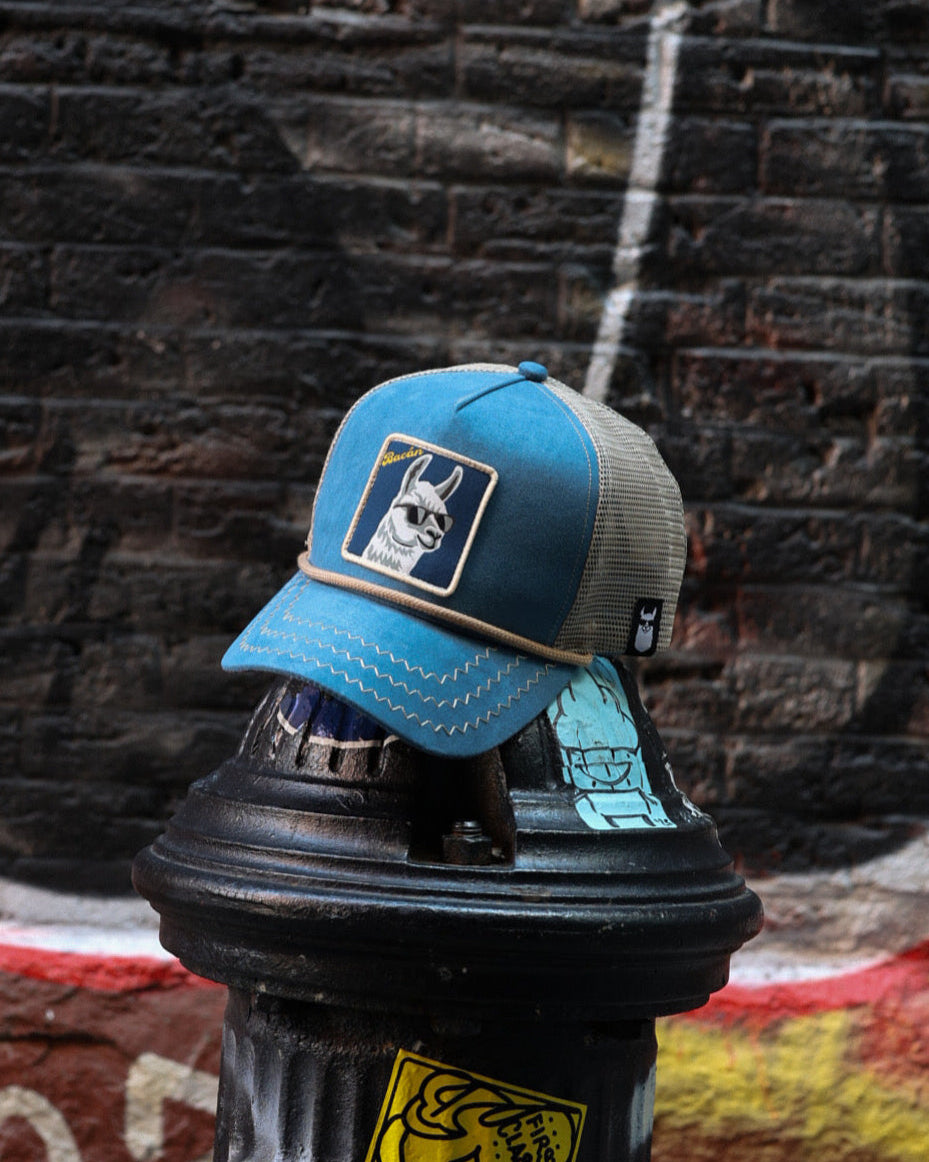Bacán Llama Trucker Hat